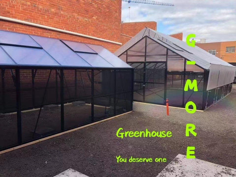 G-MORE HIGH QUALITY GREENHOUSE FOR GARDEN