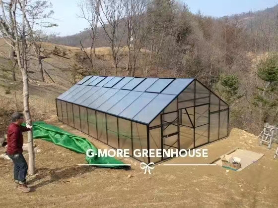 G-MORE TITAN SERIES GREENHOUSE