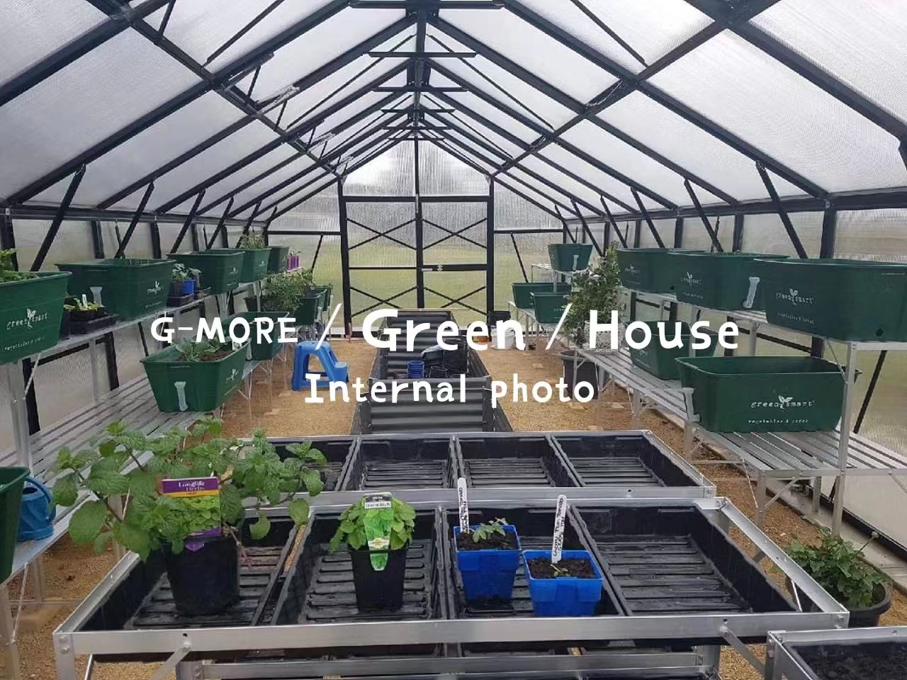 G-MORE TITAN SERIES GREENHOUSE