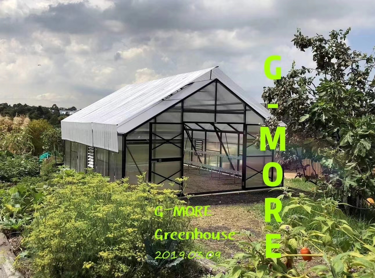 G-MORE 5m x 6m GREENHOUSE