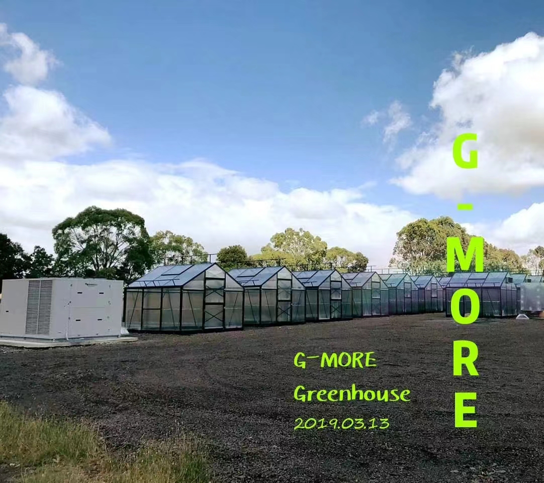 G-MORE TITAN SERIES 3m x 3m Greenhouses