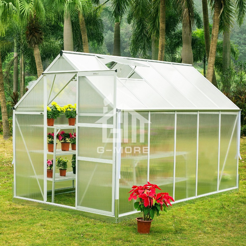 6'x4' Low Cost Agriculture Polycarbonate Flowerhouse Kits