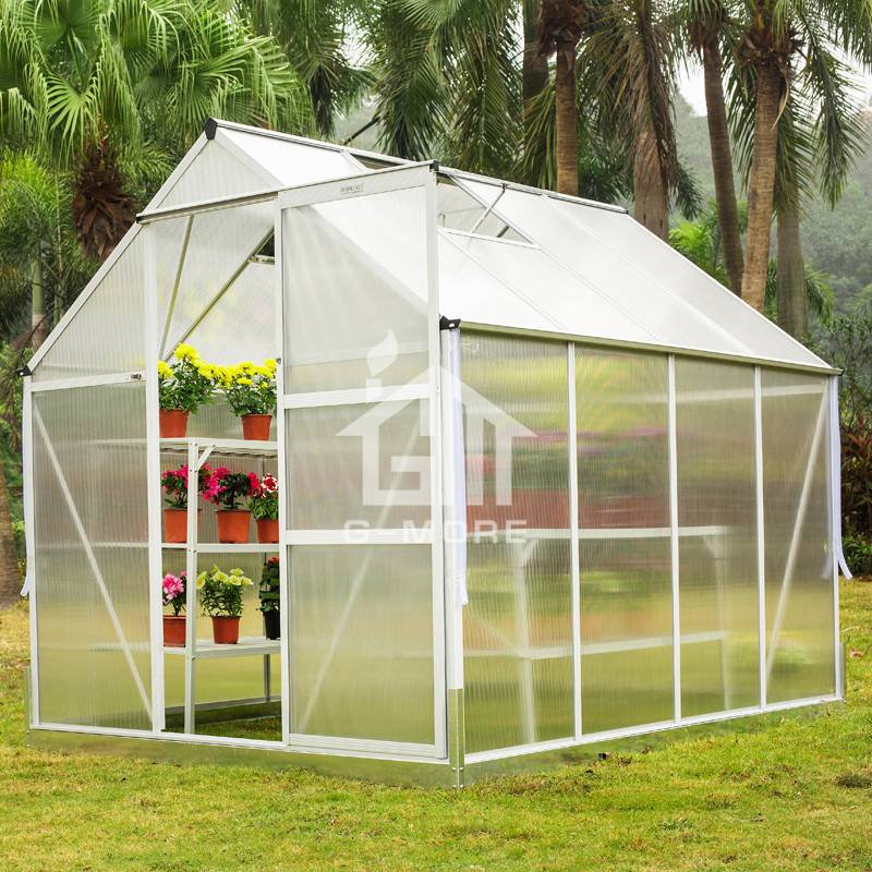 6'x4' Low Cost Agriculture Polycarbonate Flowerhouse Kits