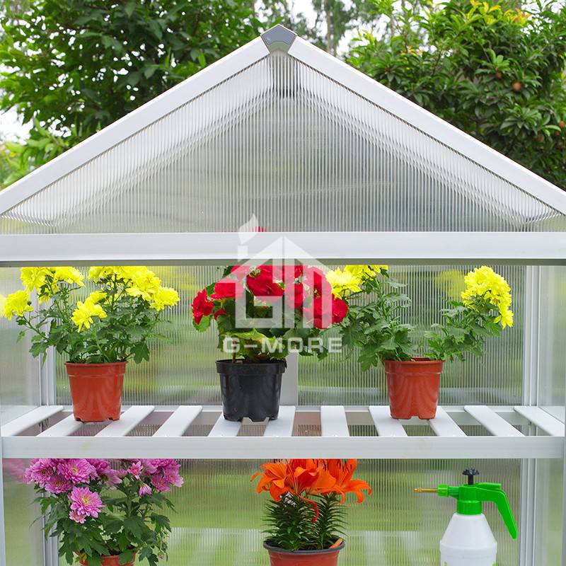 G-MORE Nursery Series, 6MM Elegant Nursery Garden Greenhouse - GM41034-X