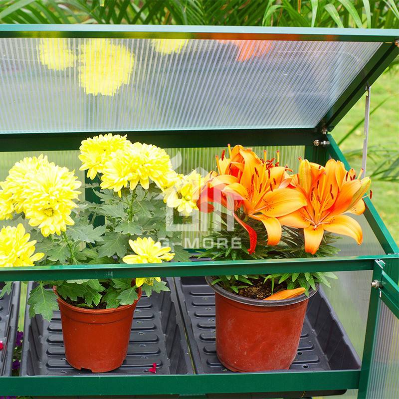 G-MORE Nursery Series, 4MM Elegant Nursery Garden Greenhouse - GM41054-G