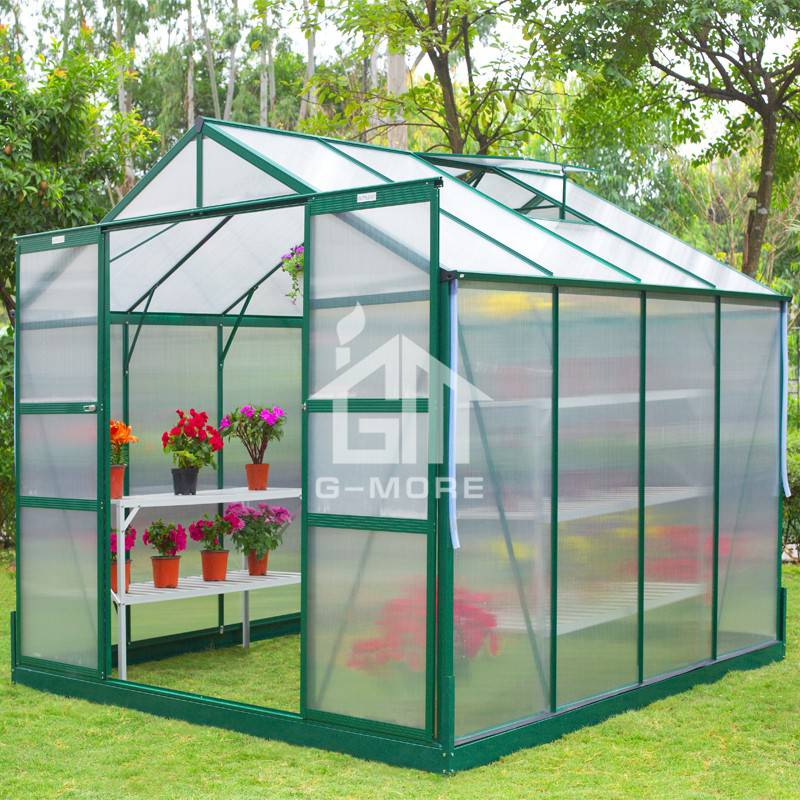 8'x6' DIY Greenhouse For Sale Traditional Series Aluminum/Polycarbonate Hobby Greenhouse