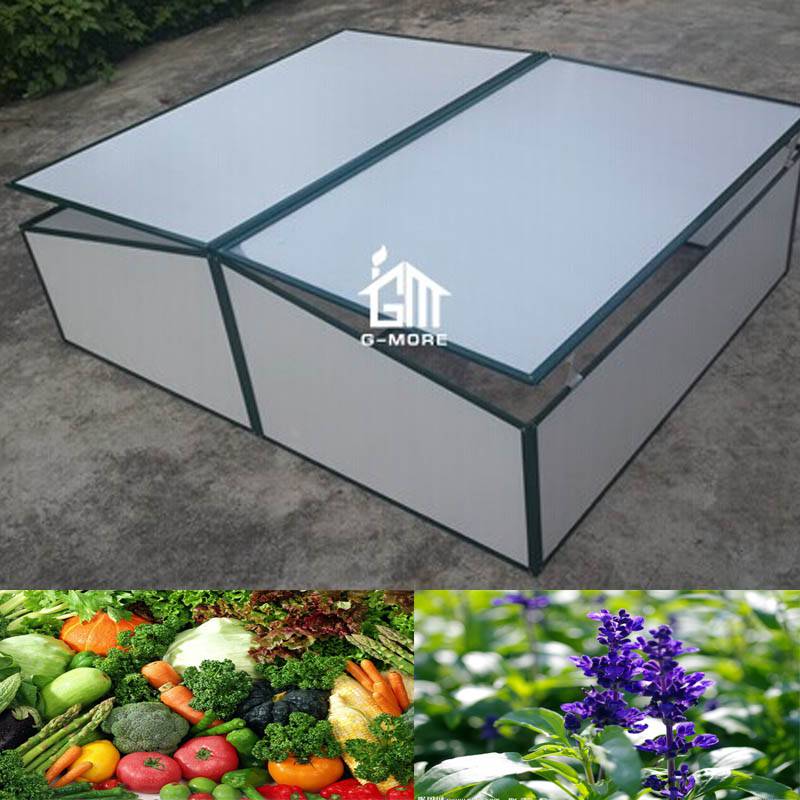 G-MORE Cold Frame, 4MM PC Aluminum Mini Greenhouse - GM42061