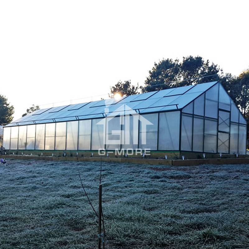 16'x40' 10mm Thick Greenhouse Polycarbonate + 5m Width Greenhouse Frame Garden House