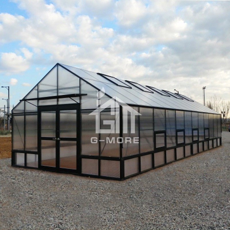 16'x40' 10mm Thick Greenhouse Polycarbonate + 5m Width Greenhouse Frame Garden House