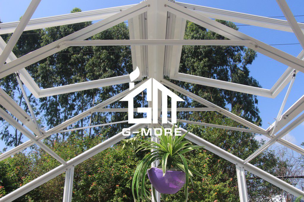 16.7'x6.4' G-MORE Multi-Span Series,Aluminum Frame PC/Glass Greenhouse