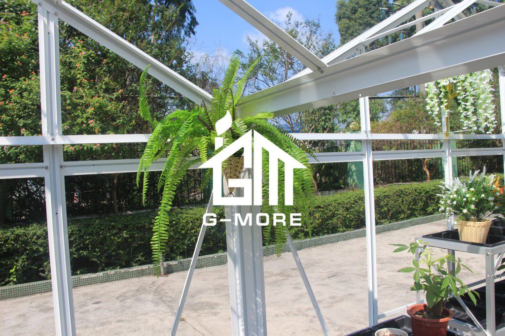 16.7'x6.4' G-MORE Multi-Span Series,Aluminum Frame PC/Glass Greenhouse