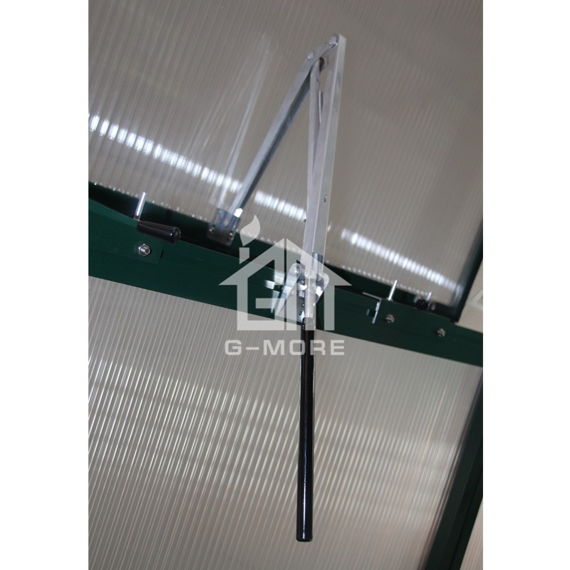 13'x33' G-MORE  4M Width/10M Length Heavy Duty Grow Smart Aluminium 10MM Polycarbonate Green Hobby Greenhouse