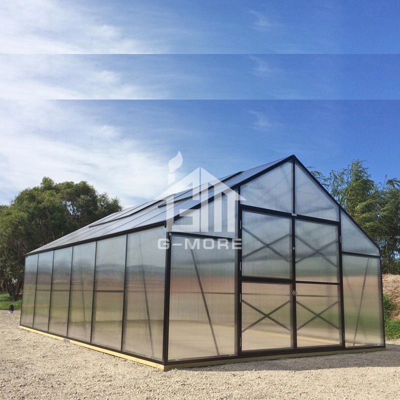 13'x20' G-MORE  4M Width/6M Length Heavy Duty Grow Smart Aluminium 10MM Polycarbonate Black Hobby Greenhouse