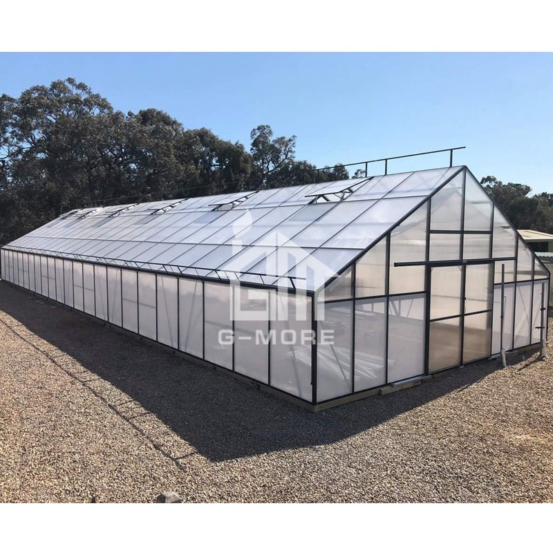 25'x80' G-more Titan Series Giant Hobby Greenhouse 7M Wide 24M Long Greenhouse - GM32724